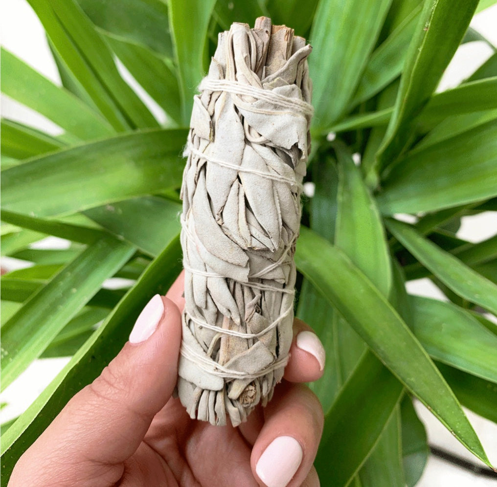 White Sage